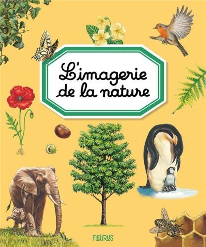 L'imagerie de la nature - Click to enlarge picture.