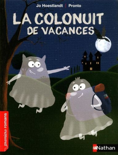 La colonuit de vacances - Click to enlarge picture.