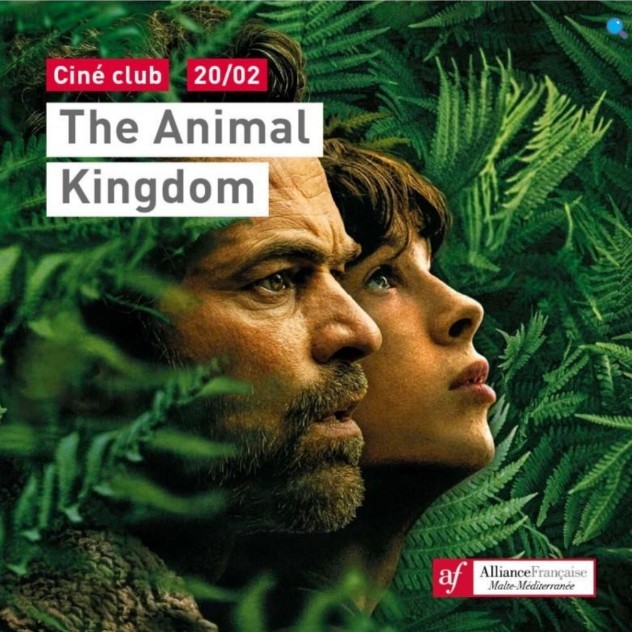 Cineclub - The Animal Kingdom